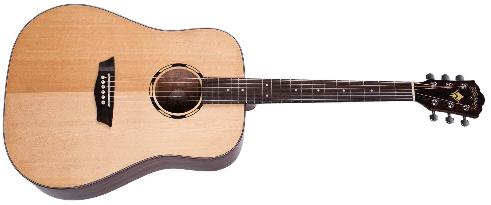 Washburn Woodline WLD10S-O-U