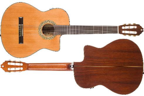 Washburn C104SCE