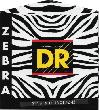 DR Zebra
