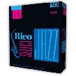 Rico Select Jazz Soprano Sax